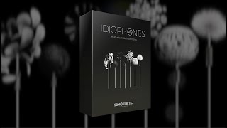 Idiophones  Overview [upl. by Jarvis]