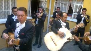 Te lo pido por favor  Mariachi Kawamil [upl. by Joelynn100]