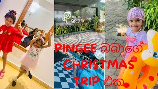 Pingee බබාගේ Christmas trip එක [upl. by Ladiv]