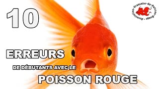 Poisson rouge  10 erreurs de débutant [upl. by Shult890]