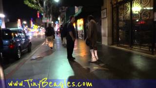 WTF Fight Homeless Attack People Bumfights Argument Crazy LOL Yelling Downtown LA Hollywood [upl. by Enelrahs]