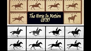 worlds 1st movieThe Horse In Motion 1878 Eadweard Muybridge [upl. by Norbie]