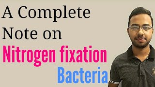 Nitrogen fixation in hindi  nitrogen fixing bacteria  symbiotic nitrogen fixation  microbiology [upl. by Aiet]