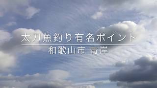 和歌山県太刀魚釣りで有名な紀ノ川河口青岸 [upl. by Nelav]