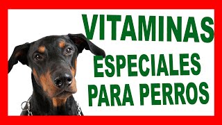 TONICO TOTAL DOGS ¿Es la MEJOR VITAMINA para PERROS [upl. by Nahtanha]