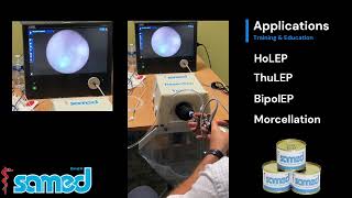 Prostate Enucleation training with the Samed Enucleation Model for HoLEP ThuLEP and BipolEP [upl. by Egon]