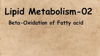 Lipid Metabolism02BetaOxidation of Fatty AcidBSc 3rd YearLife Science Classes [upl. by Connor]