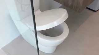 Kohler Ove Close Coupled Toilet Suite Soft Close Seat [upl. by Lorens267]