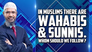 In Muslims there are Wahabis and Sunnis Whom Should we Follow  Dr Zakir Naik [upl. by Mab730]