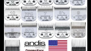 Andis Clipper Blade Sharpening [upl. by Anitsirk984]