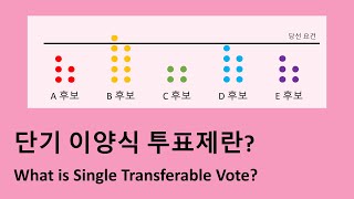 선거제도 4탄 비례대표제인데 국민이 직접 국회의원을 뽑을 수 있다고 단기 이양식 투표제 알아보기 [upl. by Wildee]