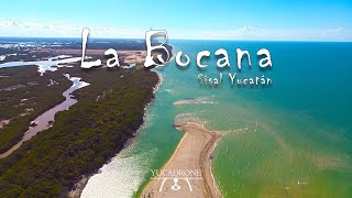 La Bocana Sisal Yucatán [upl. by Hedvig]