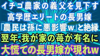 【スカッとする話】イチゴ農家の義父を見下す高学歴エリートの長男嫁「農民は孫に悪影響w」と絶縁。→翌年、我が家のイチゴが有名に。慌てた長男嫁がやってきてw [upl. by Aznarepse]