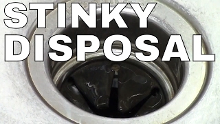 GARBAGE DISPOSAL HOW TO CLEAN  FAST Simple TRICK ICE [upl. by Sisco388]