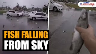 Fish rain in Iran Viral video shows fish falling from sky [upl. by Agnesse]