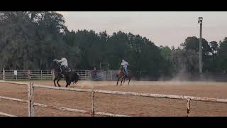 roping event  micanopy florida [upl. by Sinaj]