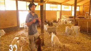 Visite pédagogique de la Ferme du col à Jarjayes dans les HautesAlpeswmv [upl. by Vinson]