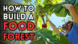 5 Tips To Building Your Dream Food Forest  Touring a 2 Acre Tropical Food Forest  The Reid Farm [upl. by Libenson]