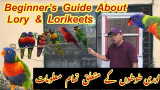 Complete Information About Lorikeet ParrotsLories And Lorikeets Parrots Breeding TipsHindi\Urdu [upl. by Eiramanig184]