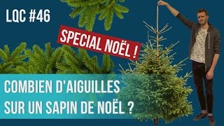 Combien daiguilles sur un sapin de Noël  LQC 46 [upl. by Aubyn]