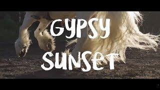 Gypsy Sunset  Gypsy cob Hermits Titanium amp Arina Libontova [upl. by Amick839]