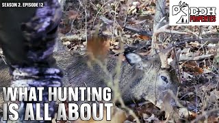 What Hunting is All About  DDH Properties [upl. by Keli]