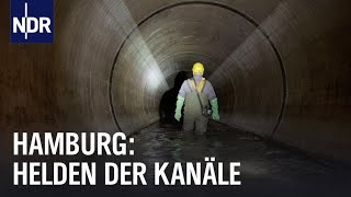 Hamburgs Unterwelt Arbeiten unter der Stadt  Die Nordreportage  NDR Doku [upl. by Loggins793]