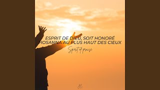 Esprit de Dieu soit honoré Hosanna au plus haut des cieux Instrumental [upl. by Omar]