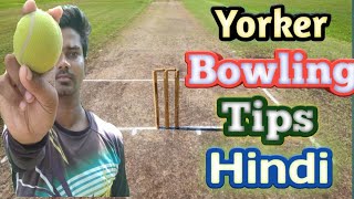 How To Bowl A Perfect Yorker In Cricket  Yorker Bowling Tips In Cricket [upl. by Dazraf582]