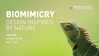 Biomimicry Design Inspired by Nature [upl. by Emmit]