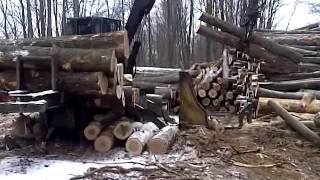 logging in West Virginia  5 [upl. by Lednor464]