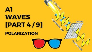 A1  Polarization Malus Law  Questions Waves Part 4 [upl. by Yesdnyl]