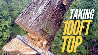 Taking a 100ft Cedar top at Camp Fircom [upl. by Camden]