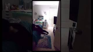 Mom pass out from prank funny scaredprank funnyprank comedy [upl. by Eerrahs]