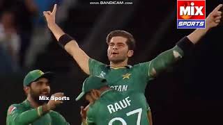 Pakistan VS Australia SemiFinal T20 World Cup 2021 Highlights cricket pakistan australia sports [upl. by Zeeba]