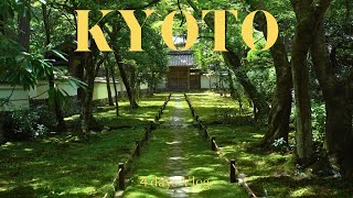 おだやかな夏の京都｜Kyoto vlog｜京都みやげ｜4days Travel Diary｜Kyoto HAUL [upl. by Ulphia]