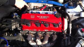 D15B engine sound [upl. by Hollie]