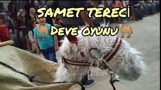 Samet tereci NEVŞEHİR DERİNKUYU DÜĞÜNLERİ DEVE OYUNU [upl. by Arihaz905]