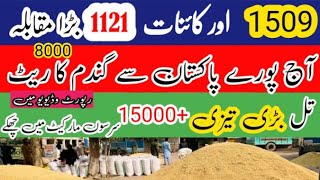 Munji Ka rate 1121 rate til rate today wheat price today in Pakistan sarso rate today 1509 rate [upl. by Nnaeirelav]