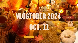 Vlogtober Oct 11 2024  Coping with Stress  Being Grateful [upl. by Siesser258]