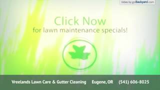 Vreelands Lawn Care amp Gutter Cleaning [upl. by Egas248]