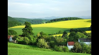 Mansholt lecture 2024 Key dilemmas on future land use for agriculture forestry and nature [upl. by Kamillah]