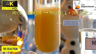 What happens when Ammonium Hydroxide NH4OH and manganese ii sulfate MnSO4  MnSO4  NH4OH [upl. by Maxfield195]