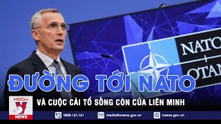 Đường tới NATO của các ứng cử viên Châu Âu và cuộc cải tổ sống còn của liên minh  Thế giới 360 [upl. by Grania841]