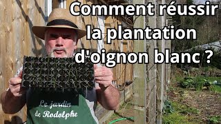 Plantation des micro mottes doignon blanc  Découvrez comment [upl. by Seppala]