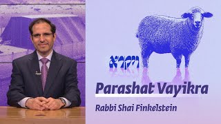 Parashat Vayikra  Who is This Book Written For  Rabbi Shai Finkelstein [upl. by Prady]