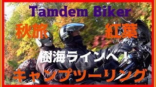 XV1700・ 秋旅紅葉キャンプツーリング！只見いこいの森キャンプ場～樹海ラインへ！ [upl. by Andonis]