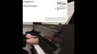 Chopin Fantaisie Impromptu Op 66 Short 9 [upl. by Ashby]