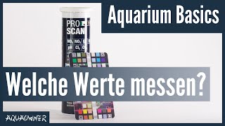 Welche Wasserwerte sollte man kennen  Aquarium Basics [upl. by Abisia697]