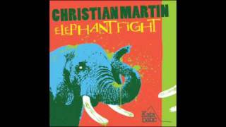 Christian Martin  Elephant Fight Justin Martins Jungle Mix [upl. by Bartholomeo]